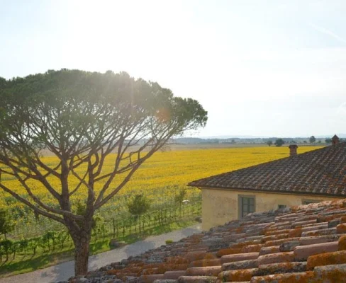 Italië Le Terre dei Cavalieri Hotel foto