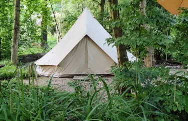 Kampeerplek Nederland Flevoland 4-personen