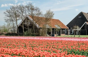 Vakantiehuis Nederland Noord-Holland 10-personen