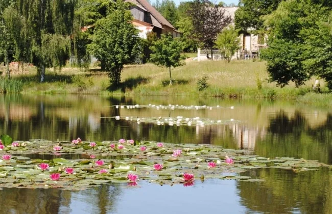 Vakantiehuis Frankrijk Nieuw-Aquitaine 4-personen